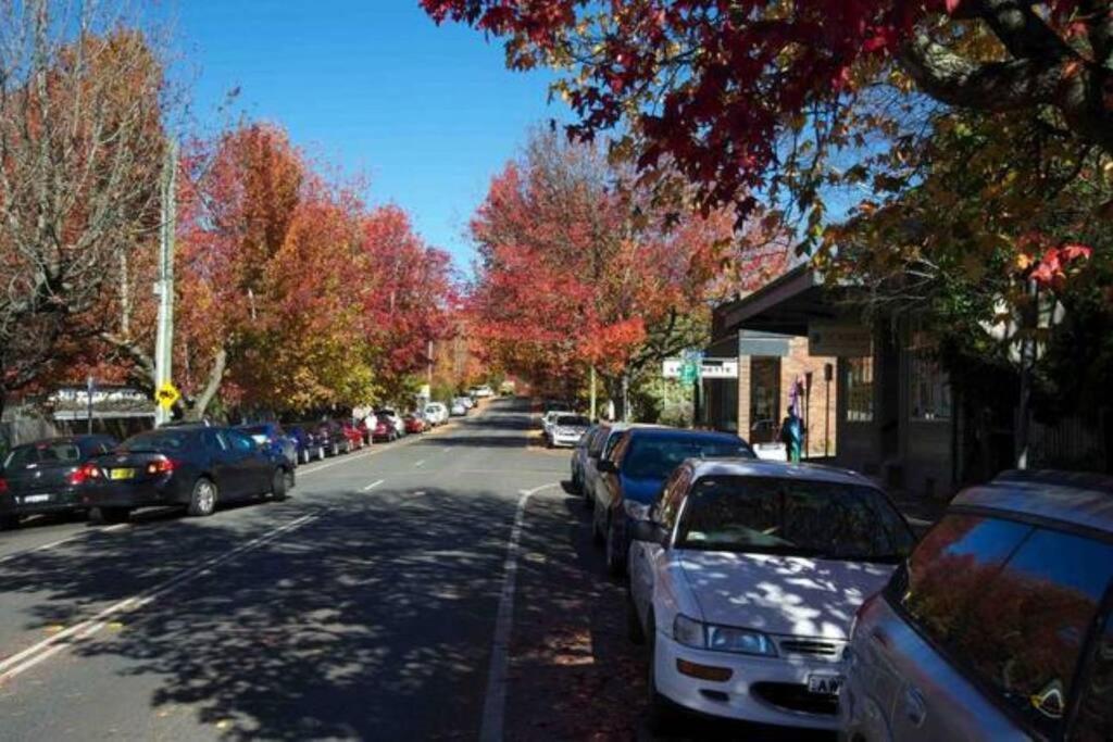 Nuach Cottage - Beautiful Family Home In Leura Exteriör bild