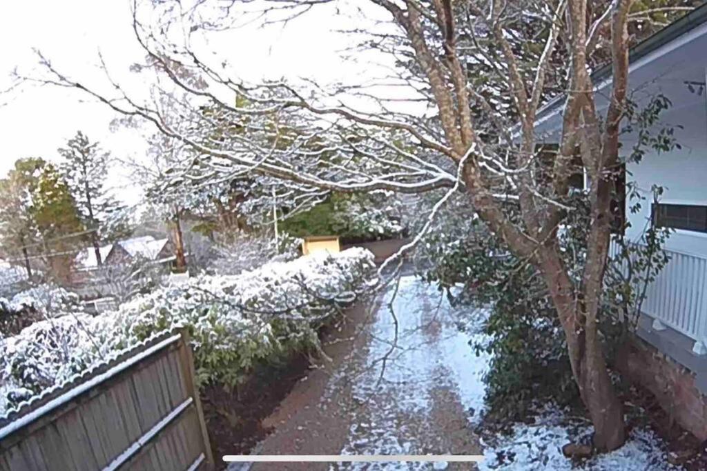 Nuach Cottage - Beautiful Family Home In Leura Exteriör bild